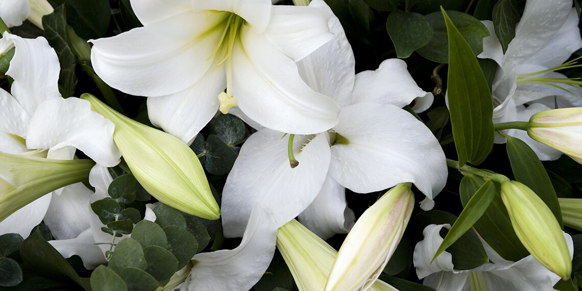 Cours d’Art Floral